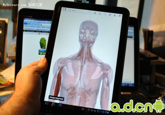 Google Body人体浏览器平板机专用版演示