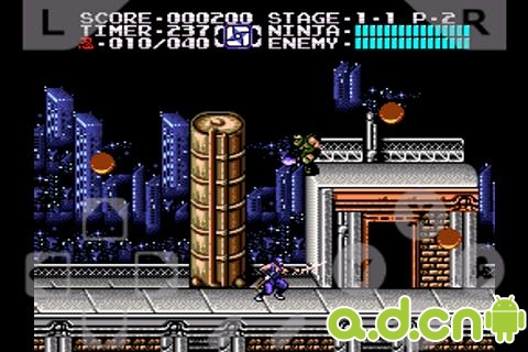 《忍者龙剑传 Ninja Gaiden》
