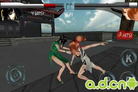 《美女格斗 Further Beyond Fighting》