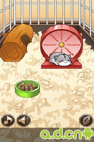 《仓鼠的日常 Hamster Life》