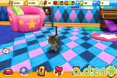 《星猫大道 Cat Runway》