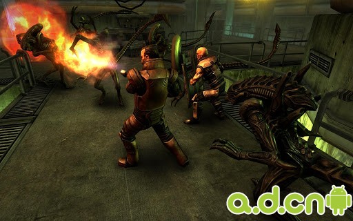 《异形大战铁血战士:进化 Alien vs Predator: Evolution》