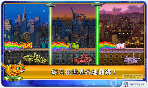 《城市猫 City Cat》