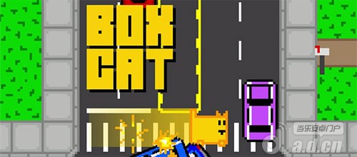 《盒子猫 Box Cat》