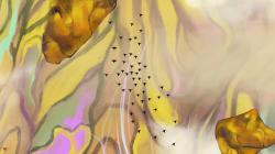 《千山飞鸟 Apsis》