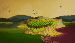 《葡萄问题 Grapes Issue 》