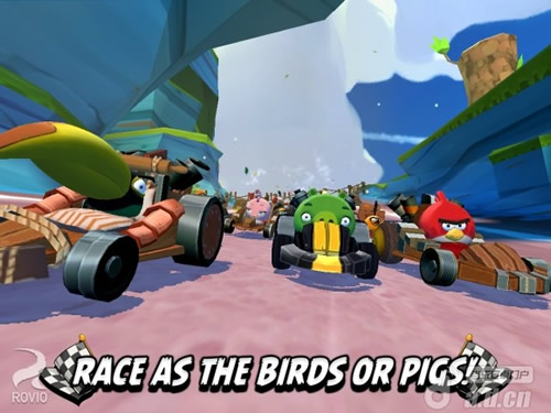  《愤怒的小鸟卡丁车 Angry Birds Go!》