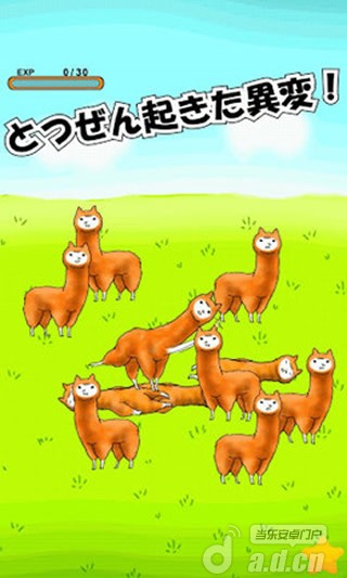 《兄贵草泥马 アルパカにいさん》安卓版下载