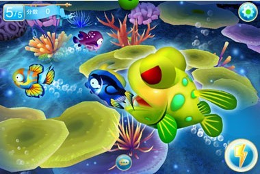 乐乐鱼聚会产品介绍!