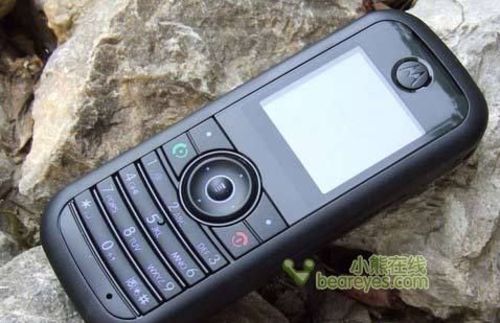 201002051265342753554.jpg